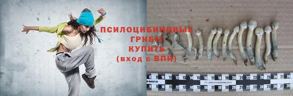 скорость Богородицк