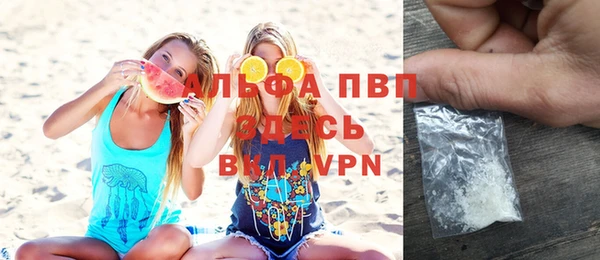 спиды Богданович