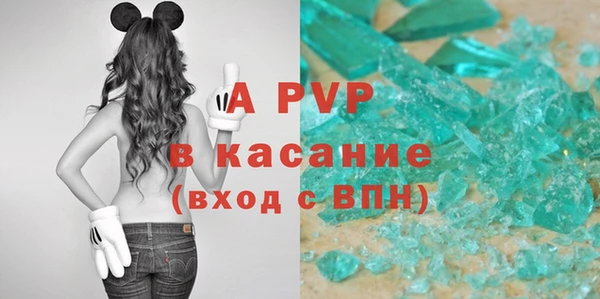 спиды Богданович